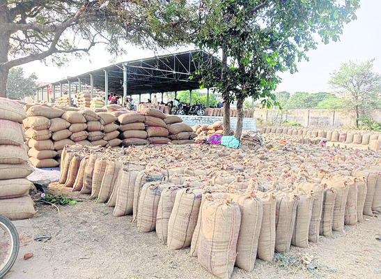 ఆర్‌ఎన్‌ఆర్‌ క్వింటా రూ.2837 1