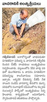 రేపు జూడో  క్రీడాకారుల ఎంపిక 
1