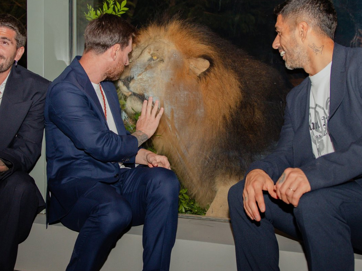 Football icon Lionel Messi visited Anant Ambani-founded wildlife Rescue Photos14