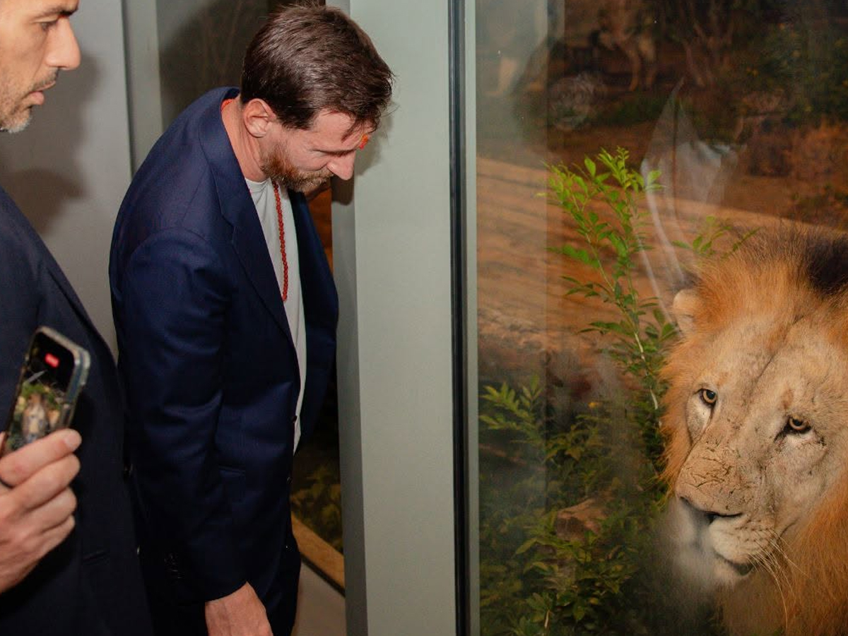 Football icon Lionel Messi visited Anant Ambani-founded wildlife Rescue Photos3
