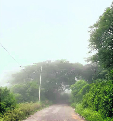 అమ్మో..చలి పులి! 3