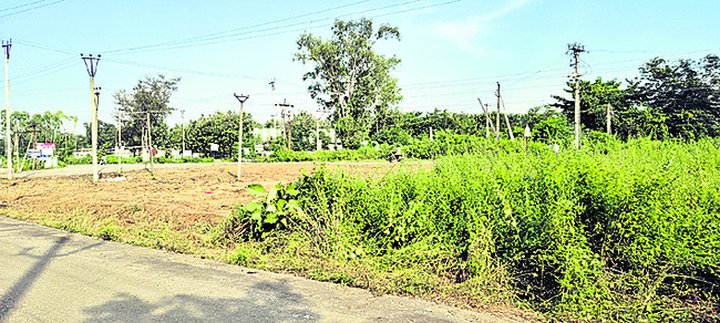 గ్రోత్‌లేని నాణ్యత..! 2