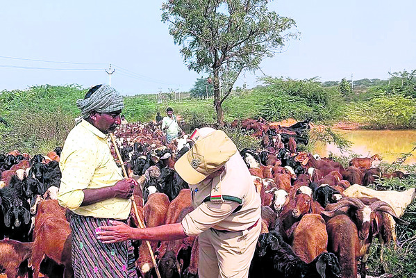 వేటగాళ్ల కోసం నల్లమల జల్లెడ 1