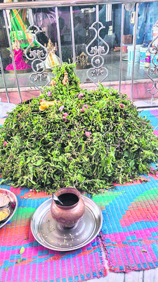 జగిత్యాల7