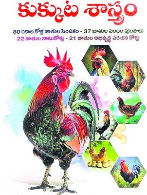 పందెం కోడి... పండక్కి రెడీ 1