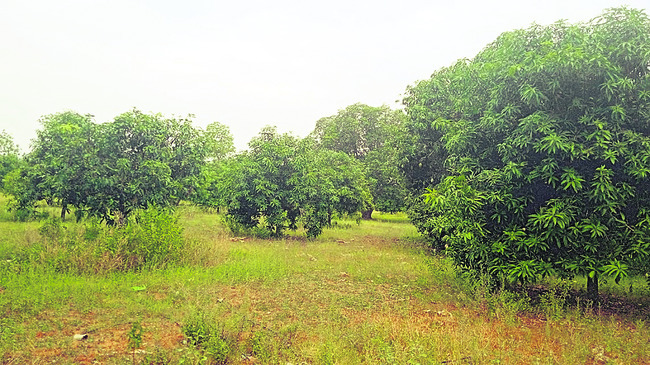 ఇదీ జరిగింది.. 2