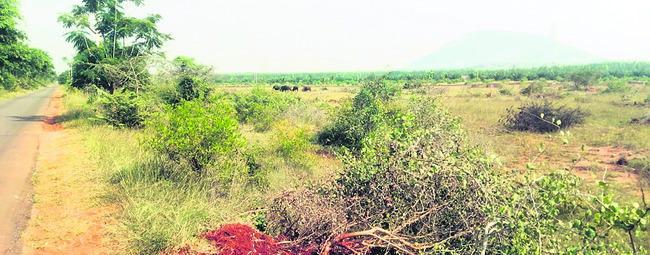 అధికారం అండ.. తమ్ముళ్ల దందా 1