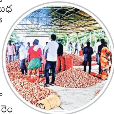 ఓవైపు సంతోషం..  మరోవైపు విషాదం  
1