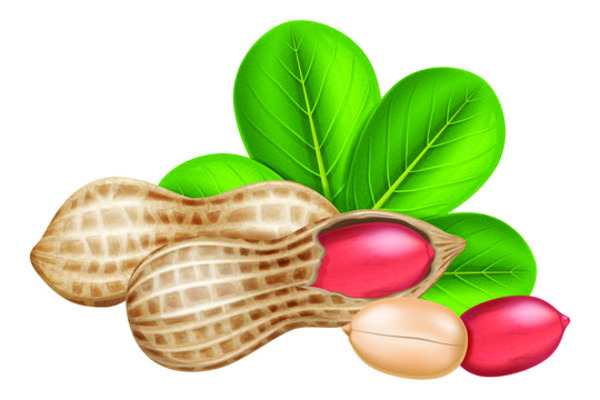 రబీ సాగు సగమే..2