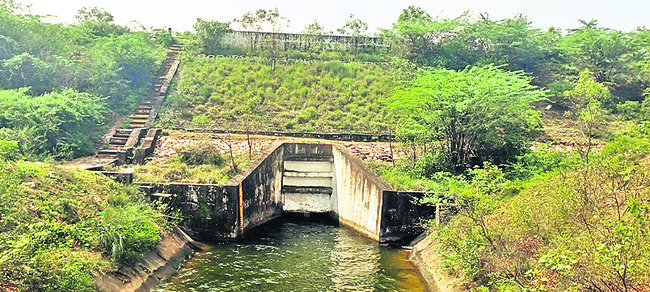 అడవి కాదు.. కండలేరు మట్టికట్టే 1