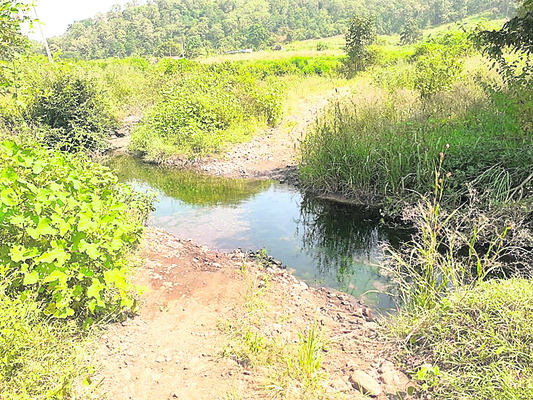 కుమురం భీం2