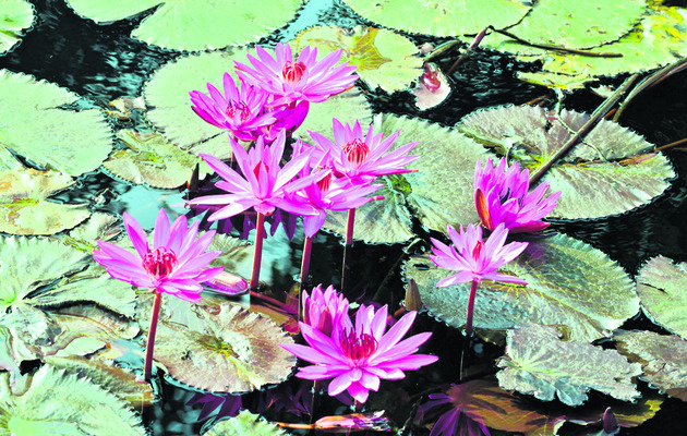 నేటి నుంచి అంతర్‌  కళాశాలల మహిళల క్రీడాపోటీలు 2