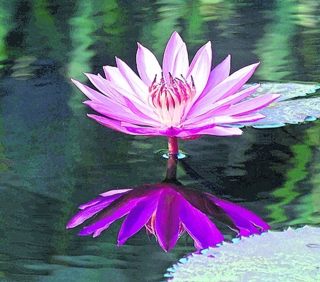 నేటి నుంచి అంతర్‌  కళాశాలల మహిళల క్రీడాపోటీలు 4