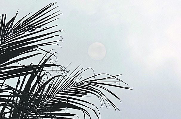 పొగముంచు.. గమనించు! 1