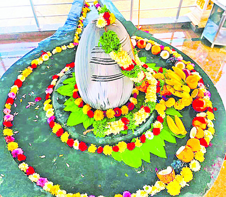 కృష్ణా జిల్లా6