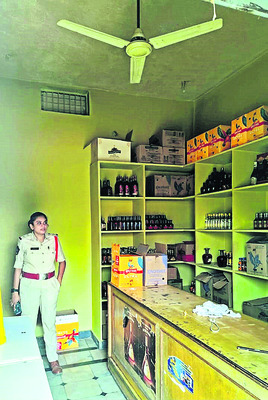 చీనీ, అరటి చెట్ల దగ్ధం1