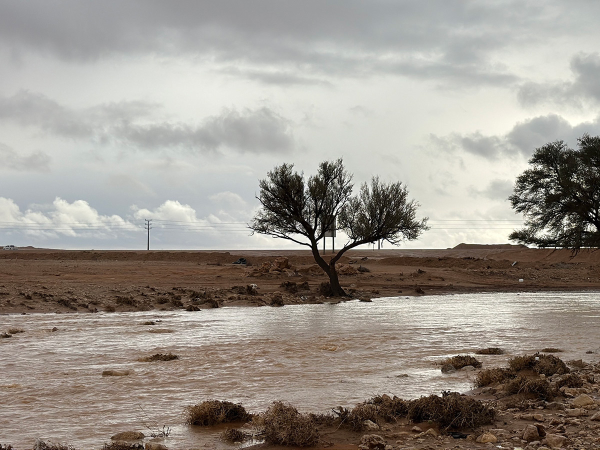 Heavy rains and thunderstorms hit Dubai10