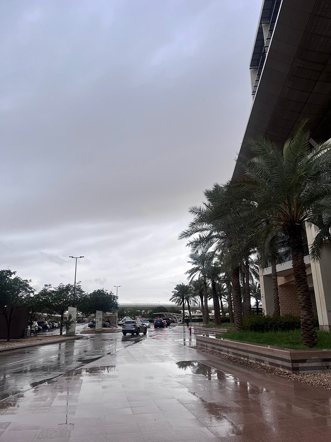 Heavy rains and thunderstorms hit Dubai7