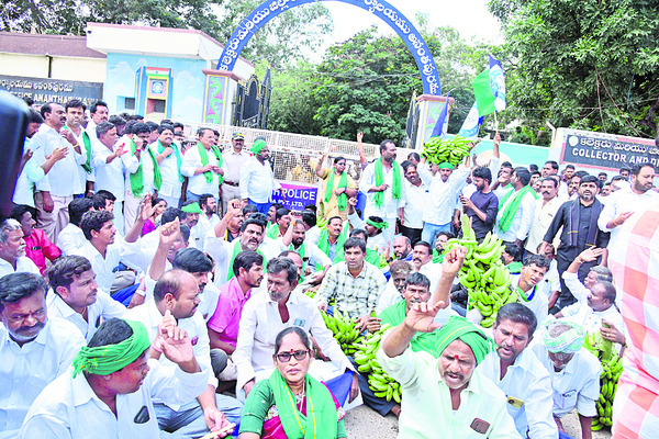 అరటి రైతు నిరసనాగ్రహం1