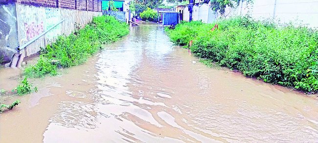 తీరంలో ముసురు.. చలిగాలులు 1