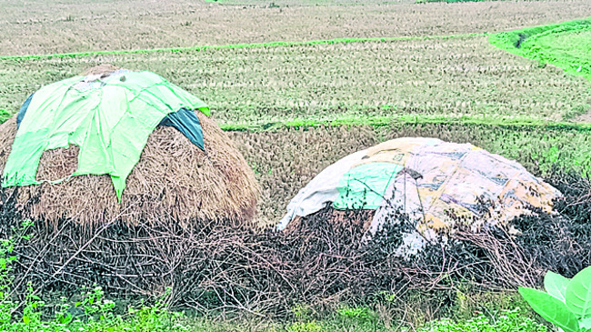 మంగళవారం శ్రీ 2 శ్రీ డిసెంబర్‌ శ్రీ 20253