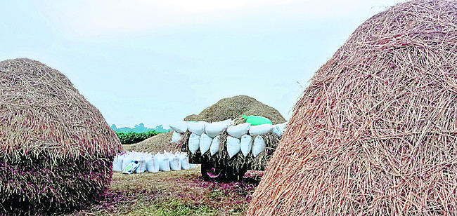 మంగళవారం శ్రీ 2 శ్రీ డిసెంబర్‌ శ్రీ 20254