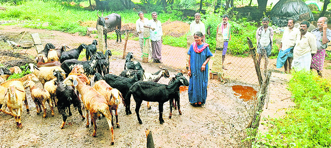 జిల్లాలో పేదల శ్రమను, ఆర్థిక వనరులను, జీవనాధారాలను దుండ1