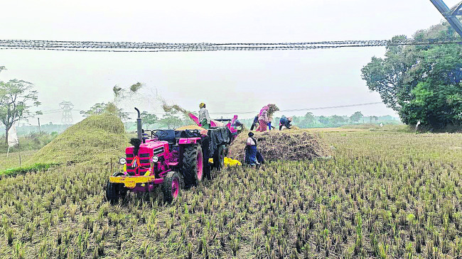 శోధించి.. ఛేదించిసీసీఎస్‌.. దొంగలపాలిట సింహస్వప్నంలా మా3