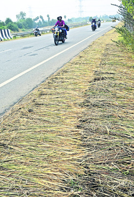 చివరిలో.. దిత్వా అలజడి 4