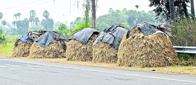 చివరిలో.. దిత్వా అలజడి 3