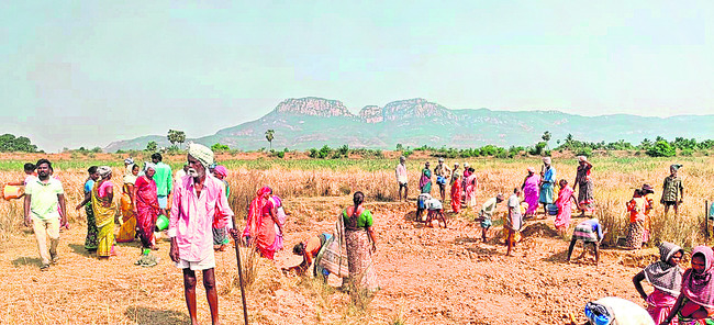 తీరంలో ముసురు..చలిగాలులు 
1