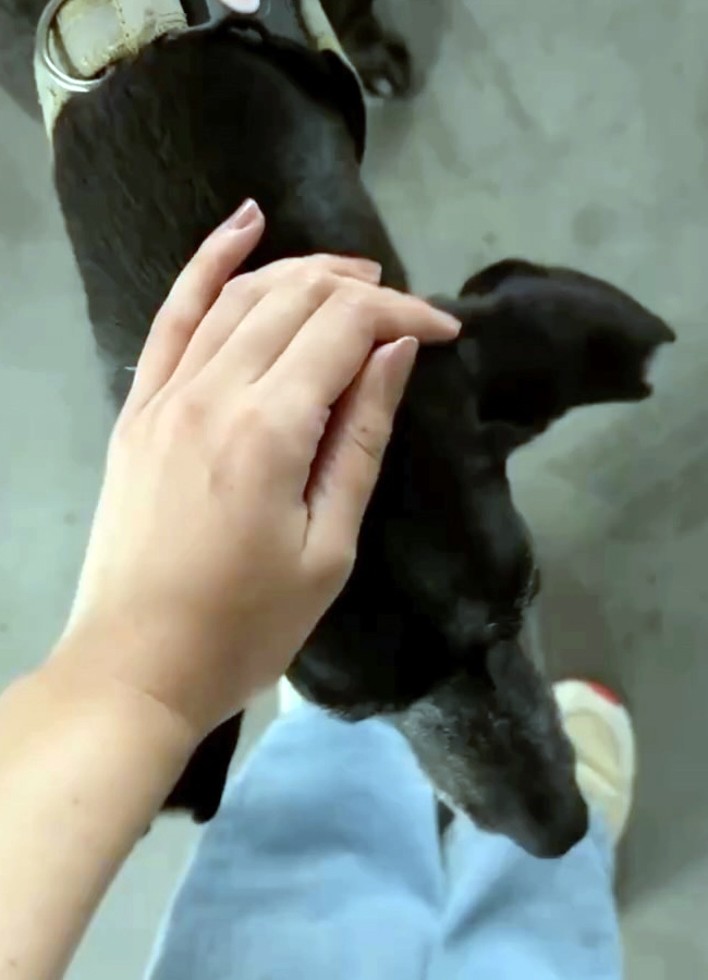 'Kantara' actress Rukmini Vasanth shared happy memories (photos)7