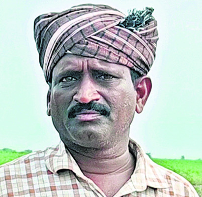 దొడ్డురకాలకే మొగ్గు1