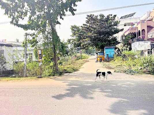 మనవాడైతే చాలు..1