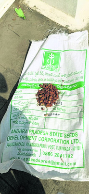 జాతీయ స్థాయి వాలీబాల్‌ పోటీలకు ఎంపిక 3