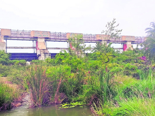 డెల్టా ప్రాంతానికి జల కల్పతరువు కనిగిరి రిజర్వాయర్‌. పన1