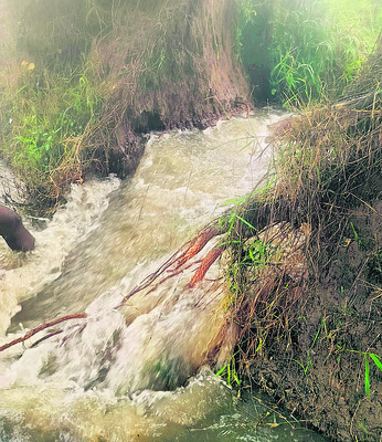 డెల్టా ప్రాంతానికి జల కల్పతరువు కనిగిరి రిజర్వాయర్‌. పన2