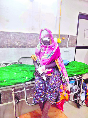 ఎలుగు దాడిలో వృద్ధునికి గాయాలు 1