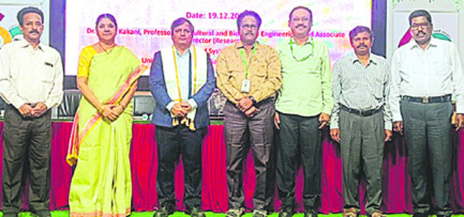 నారసింహ మహాదేవిగా  బగళాముఖి అమ్మవారు 1