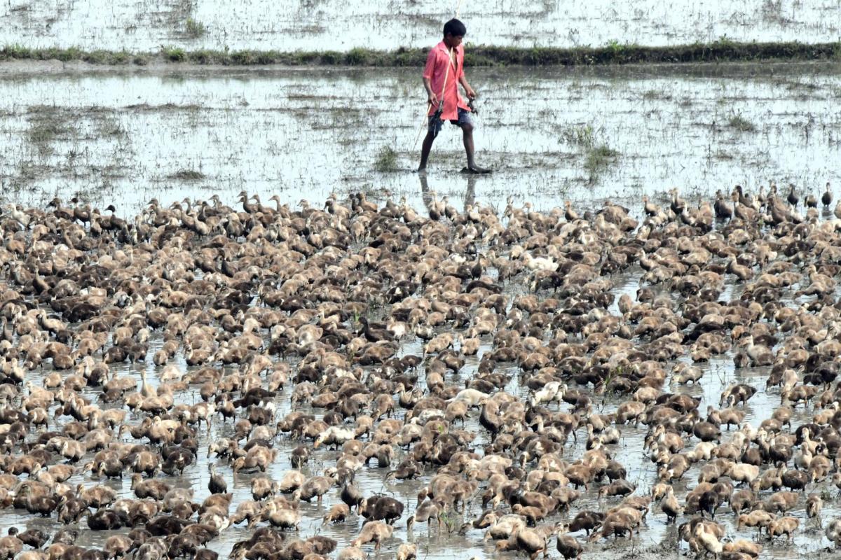 Best Photos of The Week in AP and Telangana Photo Gallery23