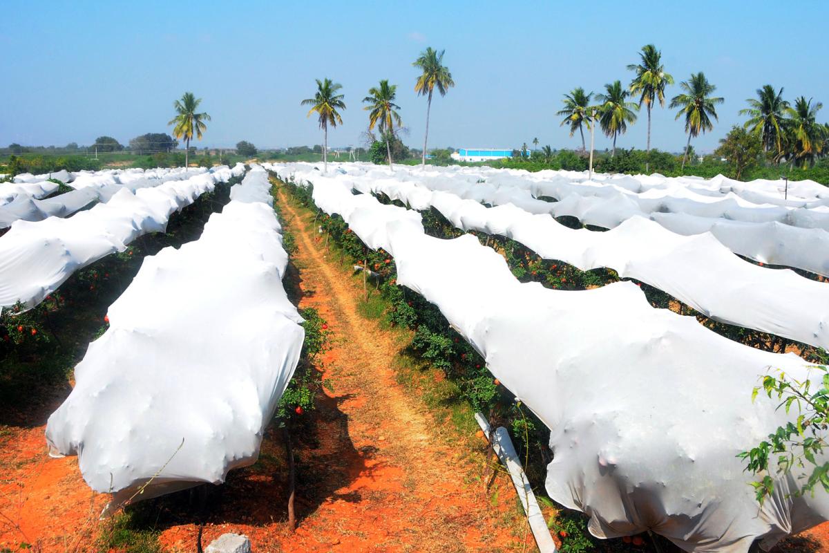 Best Photos of The Week in AP and Telangana Photo Gallery7