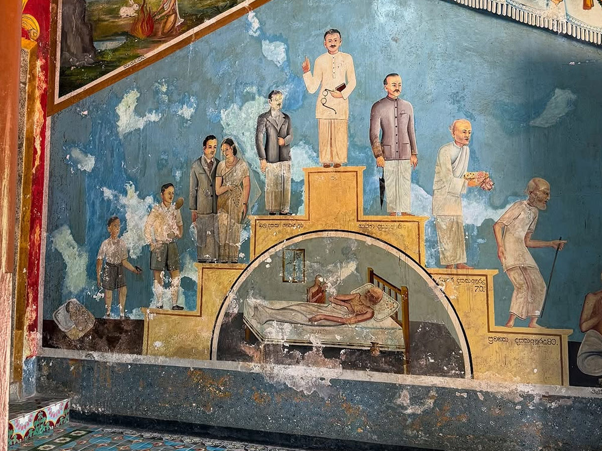  Dhanashree Verma Recently enjoyed a vacation in Sri Lanka, sharing stunning photos and videos of Her trip Photos8