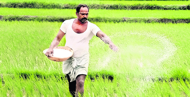 యాసంగికి సిద్ధం 4