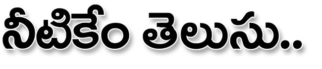 ● కొరవడిన పర్యవేక్షణ ● ప్రాజెక్ట్‌కు పొంచిఉన్న ముప్పు ●1