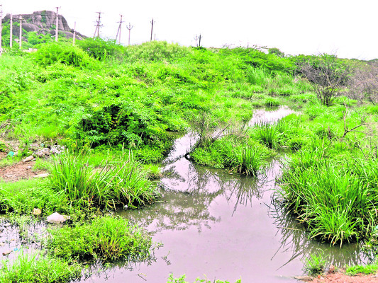 ఆపదలో ఆదెరువు!3