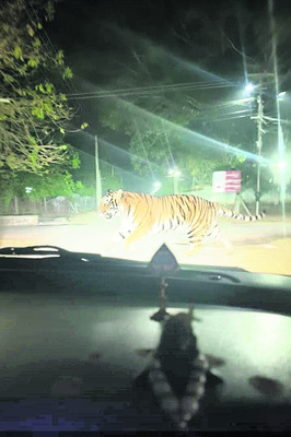 ఏఐ మాయ చేస్తున్నారు..!1