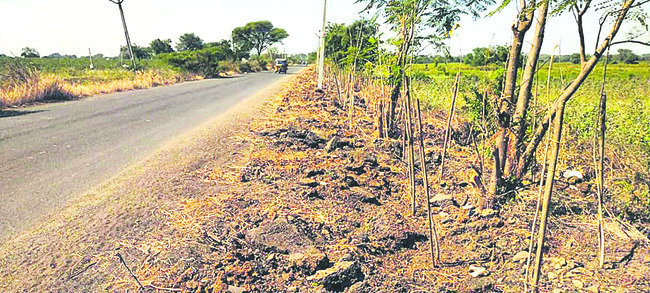 ఎవె‘న్యూ’ విచిత్రం.! 1