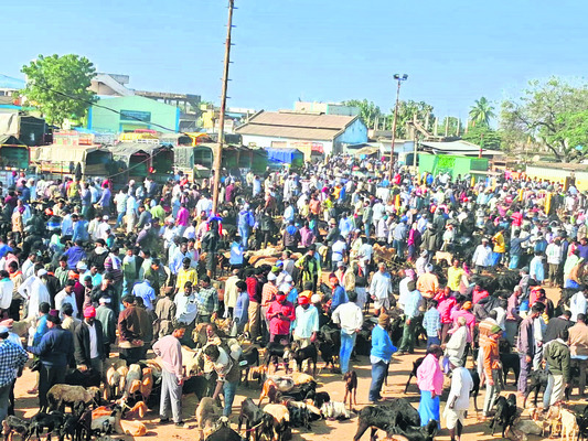 తగ్గితే బెటర్‌ 1