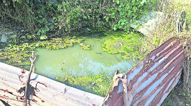 మురుగుతో సతమతం2