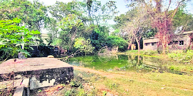 సీడీపీవోకు ఏసీడీపీవోగా బదిలీ 1